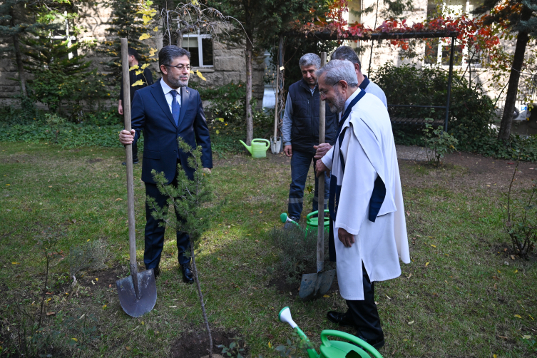Bu yıl 550 milyona yakın fidan toprakla bulaşacak