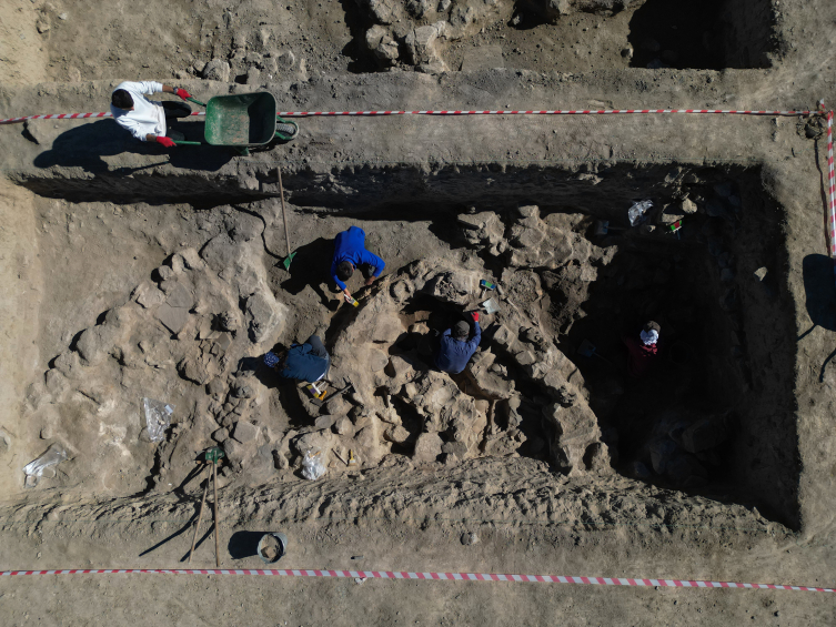 Van'da 5 bin yıllık arpa taneleri bulundu