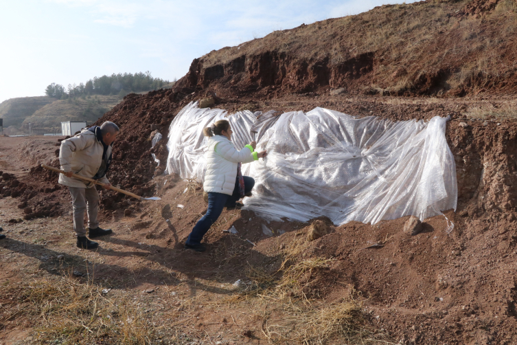 Çankırı'da yüzlerce fosil bulunan alandan bu sezon 200 fosil çıkarıldı