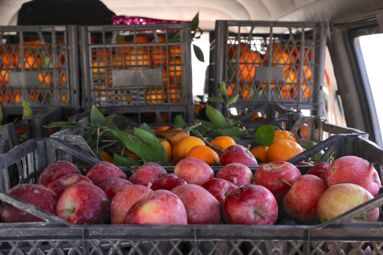 "Elmacı Dede"den Hakkari'deki askerlere elma ve mandalina ikramı