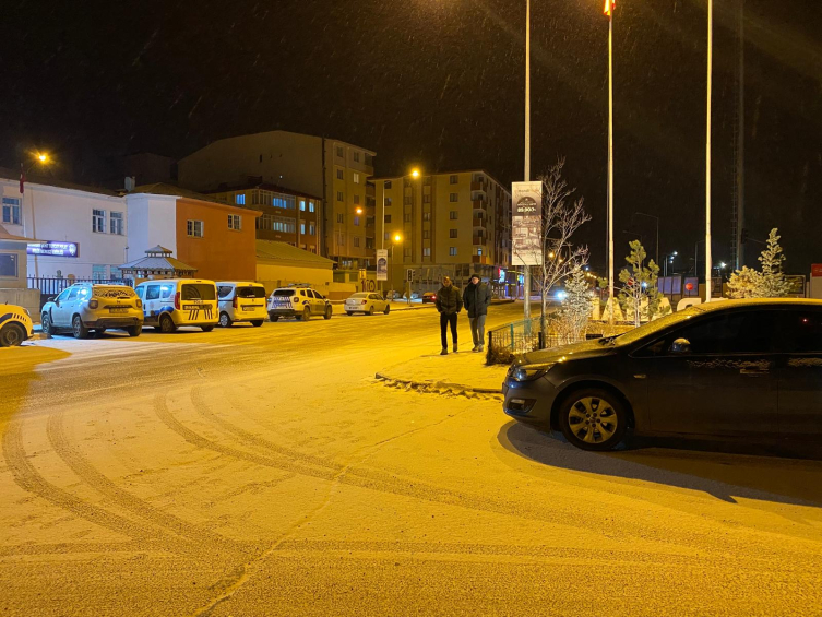 Ardahan'da kar yağışı etkili oldu