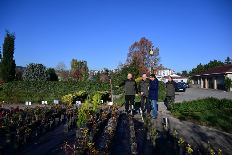 İstanbul'un ormanları havadan ve karadan korunuyor