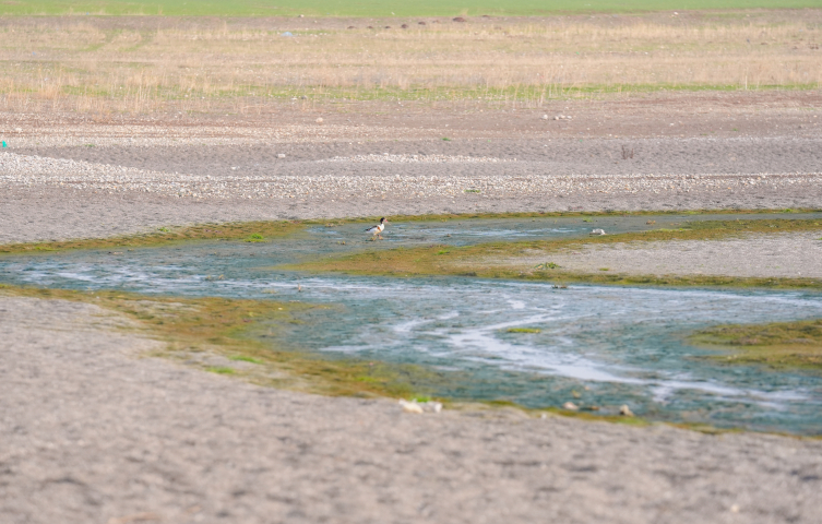 Kabaklı Göleti kuruma tehlikesi yaşıyor