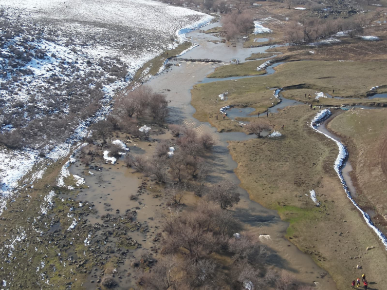 Diyarbakır'da kaybolan kadını arama çalışmaları sürüyor