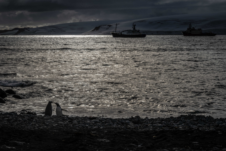 Türk bilim ekibi Antarktika'da: 14 bilimsel proje hayata geçirilecek