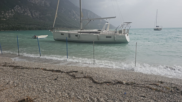 Muğla'da fırtına ağaçları devirdi