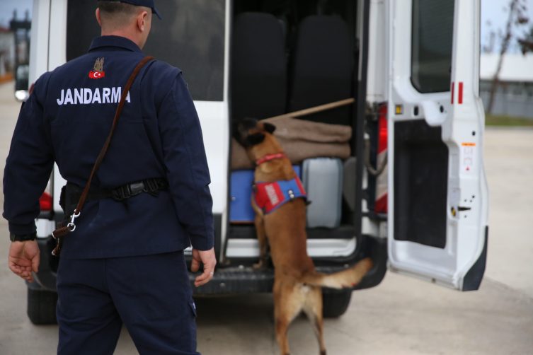 Ordu'nun kahraman patileri: 9 hassas burun suçlulara göz açtırmıyor