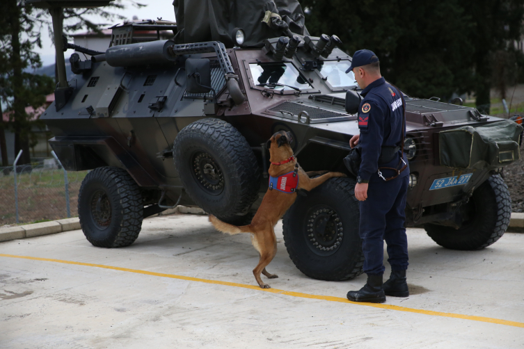 Ordu'nun kahraman patileri: 9 hassas burun suçlulara göz açtırmıyor