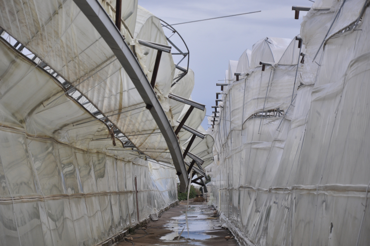 Mersin'de 150 dönüm serayı dolu ve fırtına vurdu