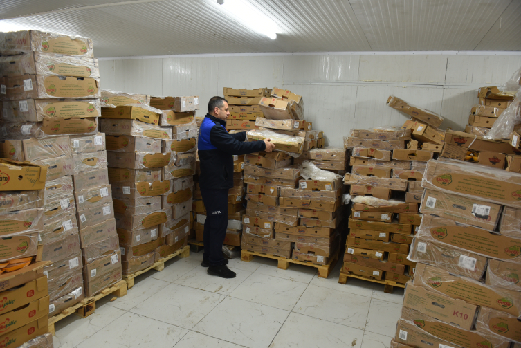 Şanlıurfa'da 50 ton bozuk tavuk ele geçirildi