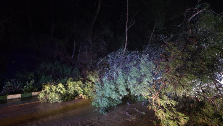 Manisa'da sağanak: Araçlar mahsur kaldı, evleri su bastı