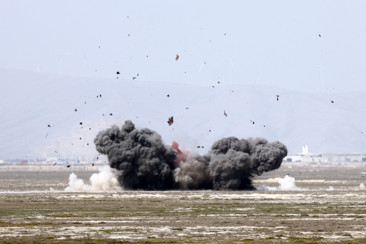 Gök vatanın bekçileri Konya'da buluştu