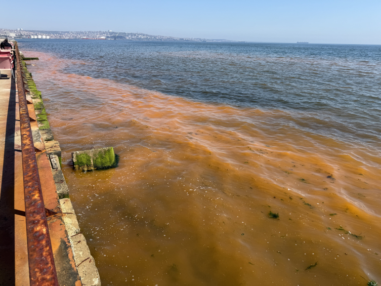 Tekirdağ'da denizin rengi değişti