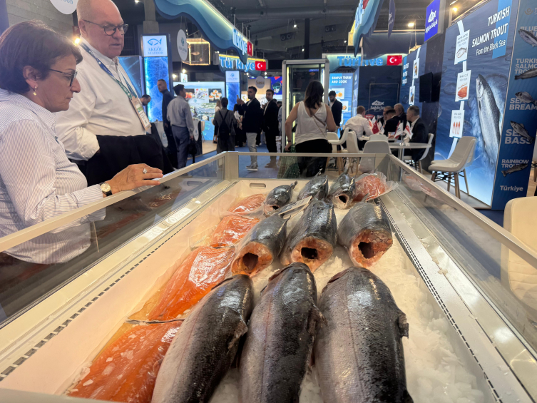 İhracatın yükselen yıldızı: Türk su ürünleri