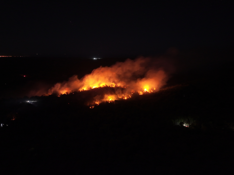 Beykoz'da orman yangını: Alevler yeniden yükseldi