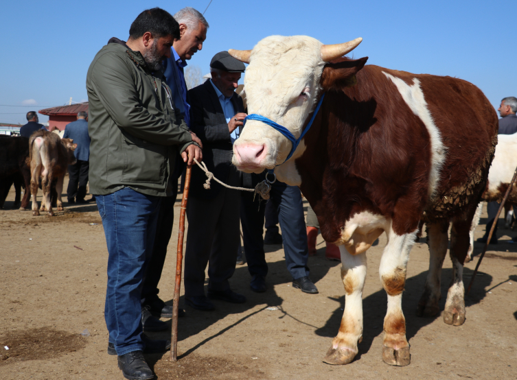 Hayvancılık merkezlerinde bayram hareketliliği arttı