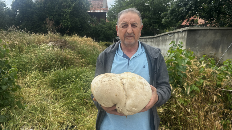 Bahçesinde 3 kilo 470 gram ağırlığında mantar buldu