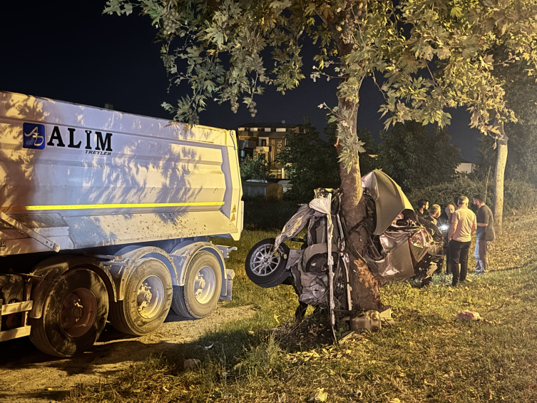 Sakarya'da ağaca çarpan otomobil ikiye ayrıldı