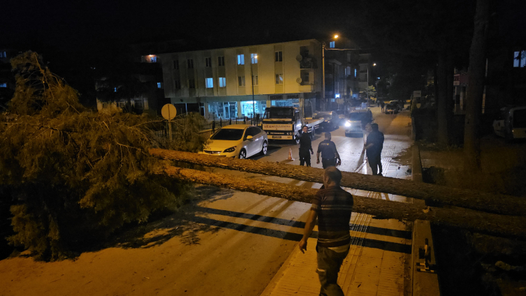 Fotoğraf: AA