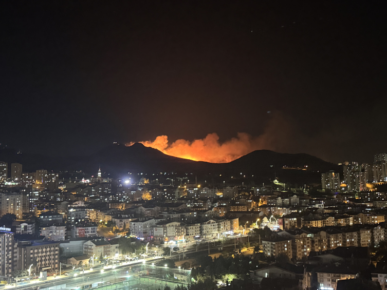 Ankara'da ağaçlık alanda çıkan yangına müdahale ediliyor
