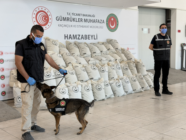 Hamzabeyli Sınır Kapısı'nda 287 kilo esrar ele geçirildi