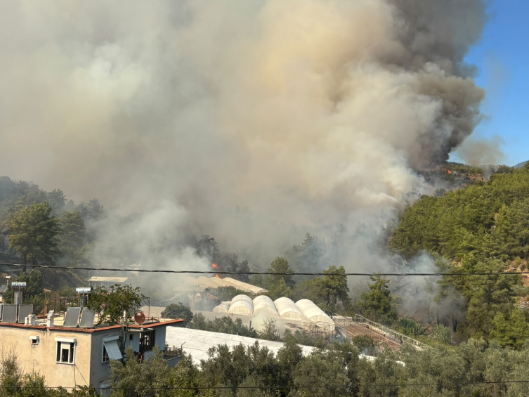 Antalya'da orman yangını