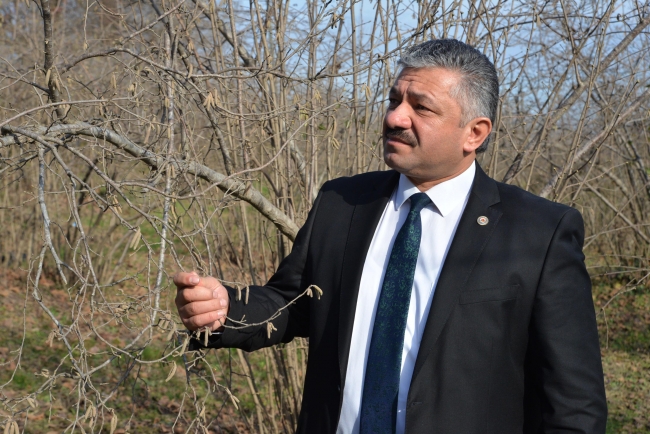 Fındık üreticileri Bakan Pakdemirli'nin açıklamasını olumlu buldu