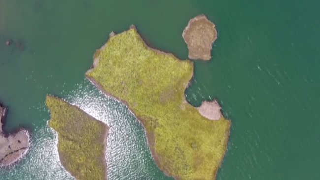 Adıyaman'ın yüzen adaları korunacak
