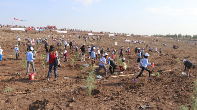 81 ilde 11 milyon fidan toprakla buluştu