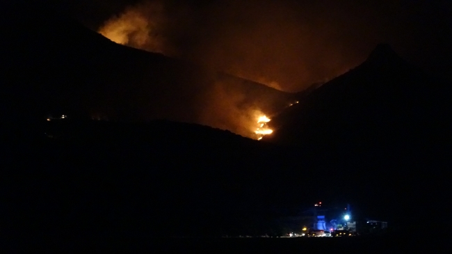 Adana'daki orman yangını yeniden başladı