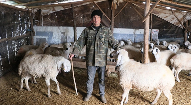 Yerli çoban sıkıntısı Afganlara istihdam sağladı