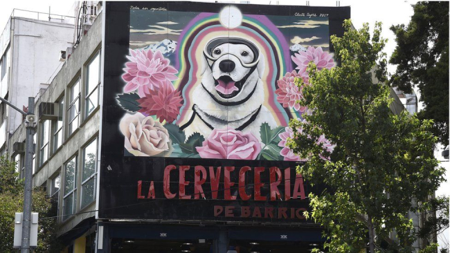 Meksika'nın kahraman köpeği Frida öldü