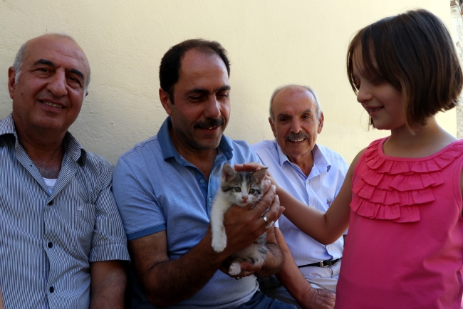 Kediler için cuma namazı sonrası yardım topladılar