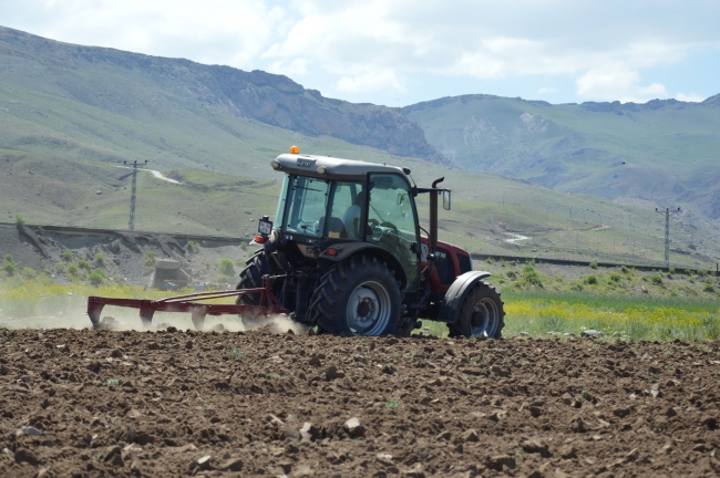 Ağrı Dağı eteğinde zorlu ekmek mücadelesi