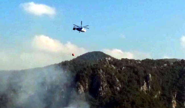 Osmaniye'de orman yangını