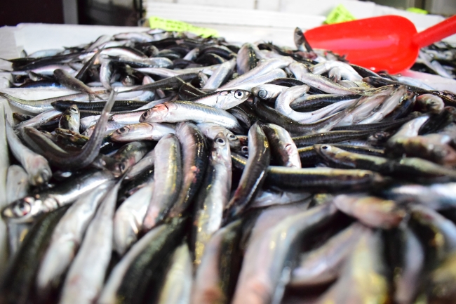 Tezgahların balıkla dolması bekleniyor