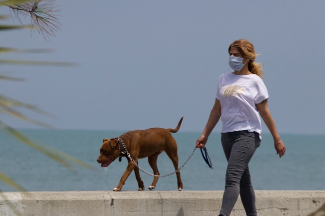 Yürüme alanlarında alınması gereken önlemler