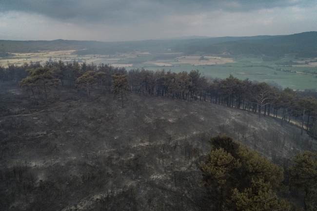 Gelibolu'daki orman yangını kontrol altına alındı