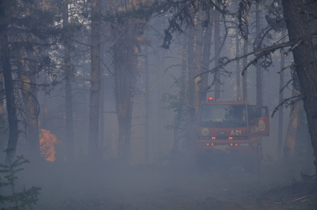 Çorum ve Sinop arasındaki orman yangını 48 saatte kontrol altına alındı