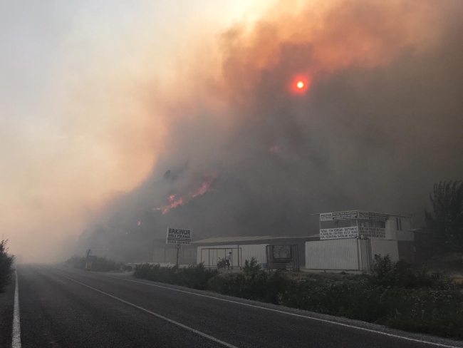 Makilik alanda başladı ormana sıçradı: 90 ev boşaltıldı