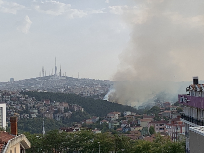 Anadolu Hisarı yakınındaki orman yangını söndürüldü