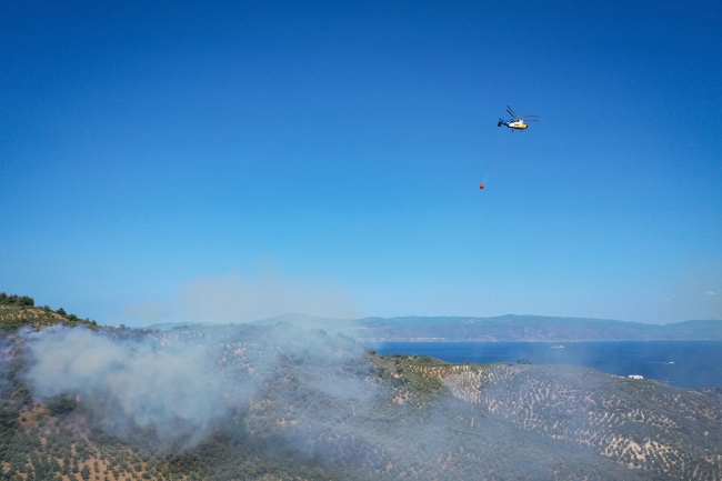 Türkiye’deki orman yangınlarının en büyük sebebi insanlar
