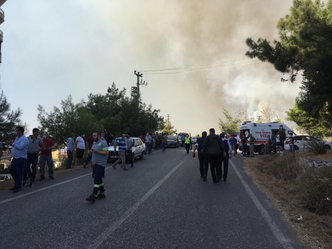 İskenderun'da peş peşe orman yangınları