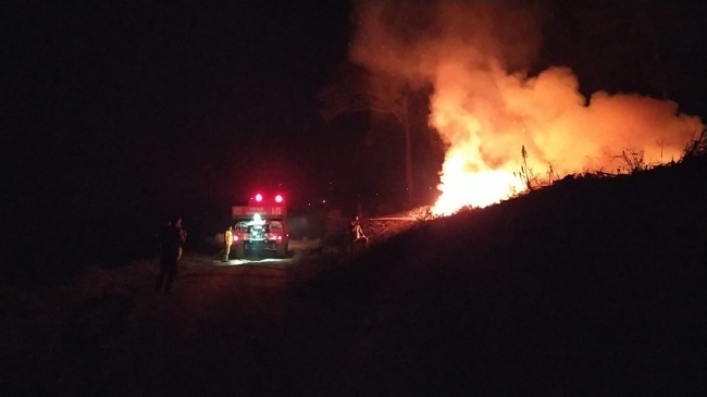 Fotoğraf: AA | Adana'da çıkan orman yangınından görüntü