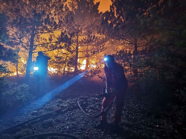 Ankara'da orman yangını