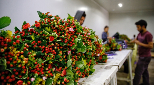 "Beş Çiçekli Altın Şehir": Antalya