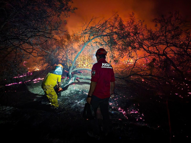 Antalya'daki orman yangını: 15 hektar alan zarar gördü