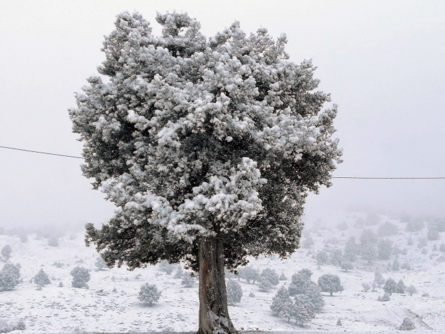 Antalya'da kar yağışı etkili oldu