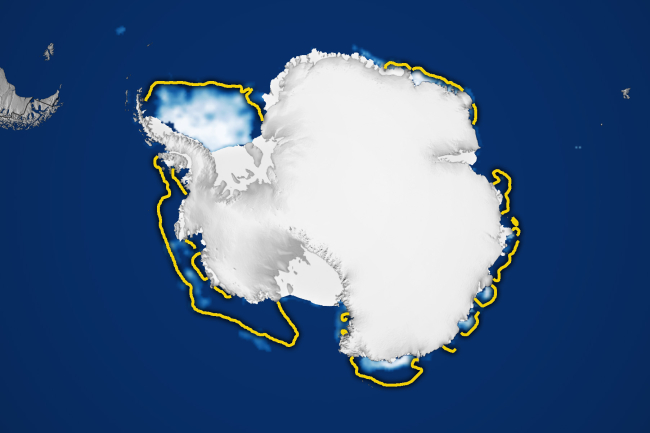 Antarktika'daki buzullar rekor derecede düşük düzeylerde