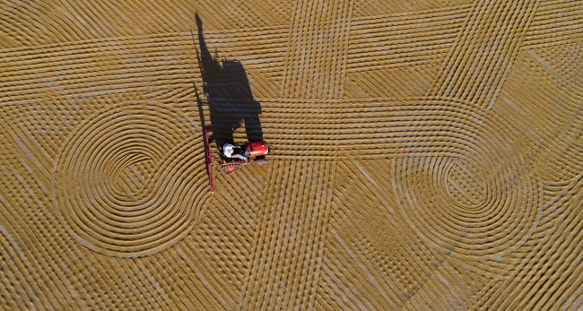 Bulgurun üretim aşaması görsel şölen sunuyor
